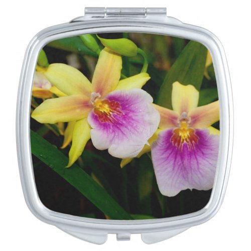 Yellow Pink Purple Miltonia Sunset Orchids Mirror For Makeup
