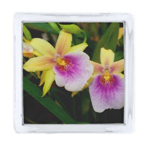 Yellow Pink Purple Miltonia Sunset Orchids Silver Finish Lapel Pin