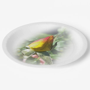yellow pink rosebud paper plates