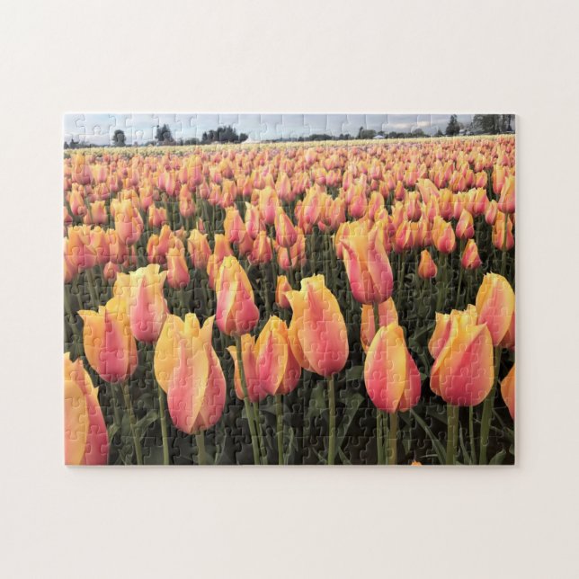 Yellow & Pink Tulip Field, Oregon Jigsaw Puzzle (Horizontal)