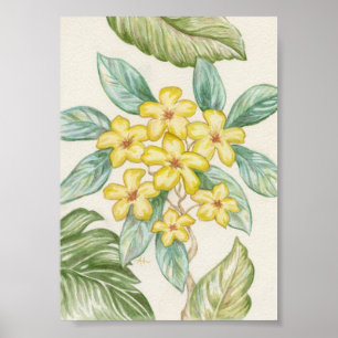 Yellow Plumeria art print
