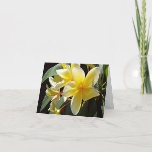 Yellow Plumeria Photo Folded Note Card