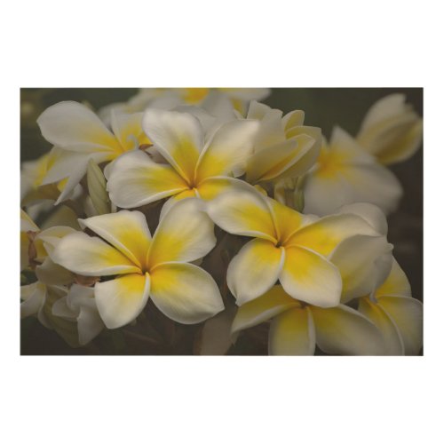 Yellow Plumeria Tropical Floral Art Print