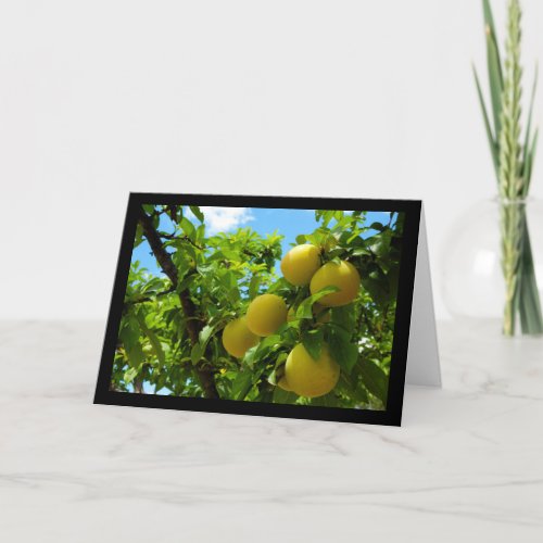 Yellow Plums Blue Sky Card