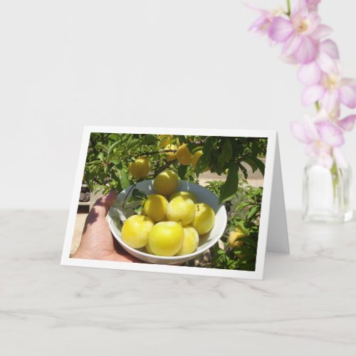 Yellow Plums in Bowl Card