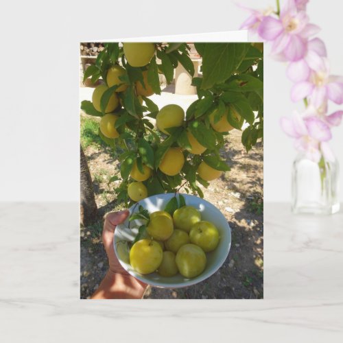 Yellow Plums in Bowl Portrait Card