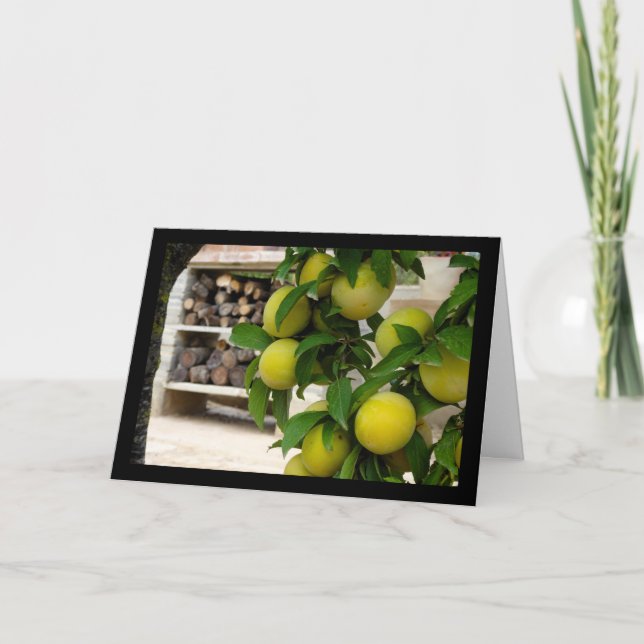 Yellow Plums Rustic Wood Card (Front)