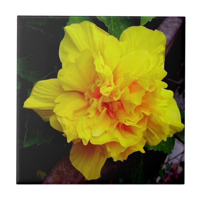 Yellow pomegranate flower ceramic tile (Front)