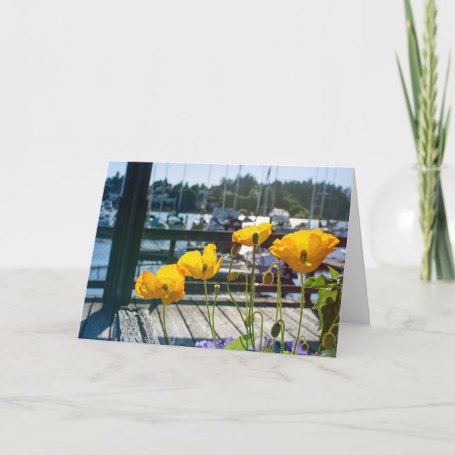 Yellow Poppies at the Boat Marina Port Blank Card (Front)