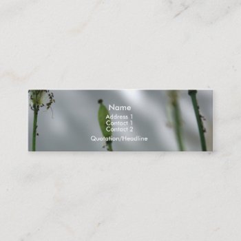 Yellow Poppies Shade 10 Business Cards by PBsecretgarden at Zazzle