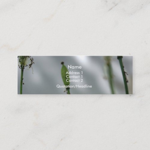 Yellow Poppies shade 10 Business cards