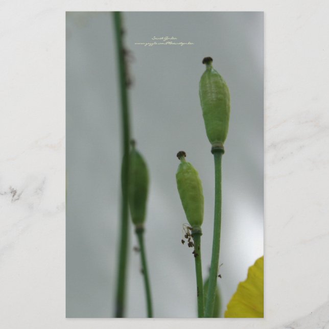 Yellow Poppies Shade 11 personalized Stationery (Front)