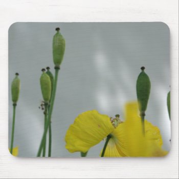 Yellow Poppies Shade 1 Mousepad by PBsecretgarden at Zazzle
