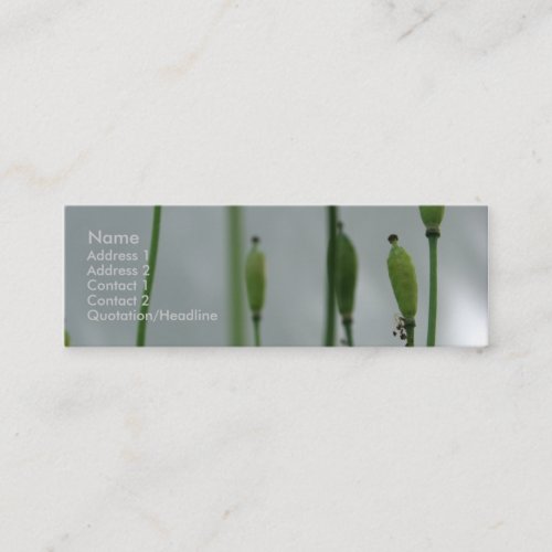 Yellow Poppies Shade 2 Business Cards