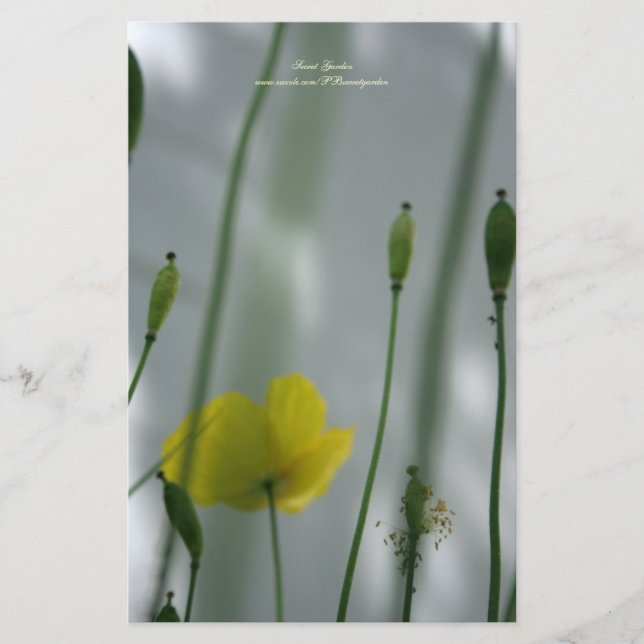 Yellow Poppies shade 3 Personalized Stationery (Front)