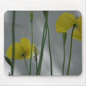 Yellow Poppies Shade 9 Mousepad by PBsecretgarden at Zazzle