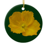 Yellow Poppy Alaskan Wildflower Floral Ceramic Ornament