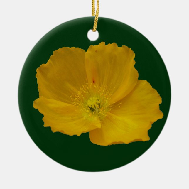 Yellow Poppy Alaskan Wildflower Floral Ceramic Ornament (Front)