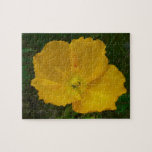 Yellow Poppy Alaskan Wildflower Floral Jigsaw Puzzle