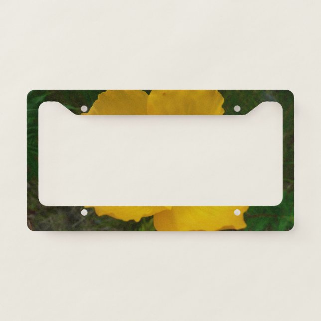 Yellow Poppy Alaskan Wildflower Floral License Plate Frame (Front)