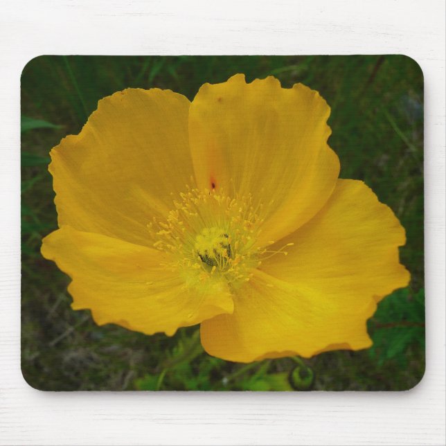 Yellow Poppy Alaskan Wildflower Floral Mouse Pad (Front)