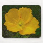 Yellow Poppy Pretty Alaskan Wildflower Mouse Pad