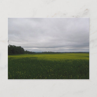 yellow postcard