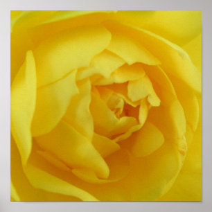 Yellow poster