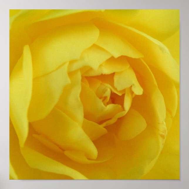 Yellow poster (Front)