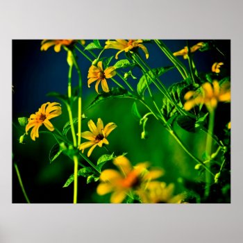 Yellow... Poster by ZachAttackDesign at Zazzle