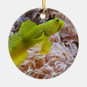 Yellow prawn-goby ceramic ornament