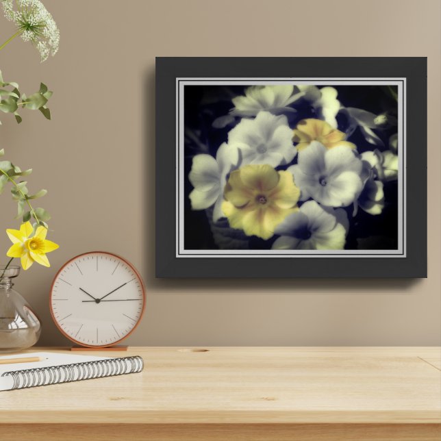 Yellow Primrose Flower Partial Color Framed Framed Art (Table Top)