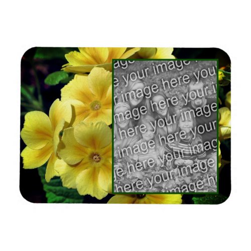 Yellow Primrose Flowers Add Your Photo  Magnet