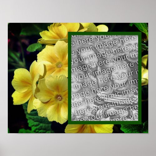 Yellow Primrose Flowers Add Your Photo  Poster