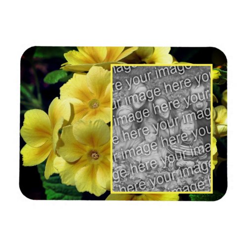 Yellow Primrose Flowers Create Your Own Photo  Magnet