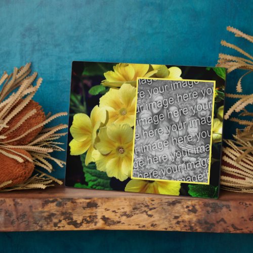 Yellow Primrose Flowers Create Your Own Photo  Plaque