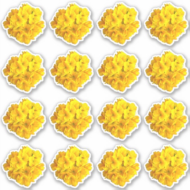 Yellow Primrose Flowers Pattern Sticker (Front)
