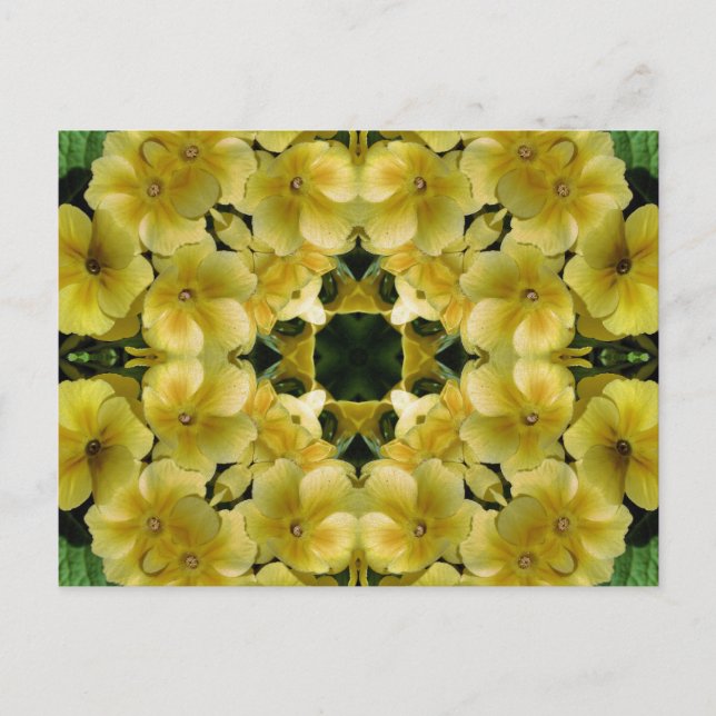 Yellow Primrose Kaleidoscope Art Flower Postcard (Front)