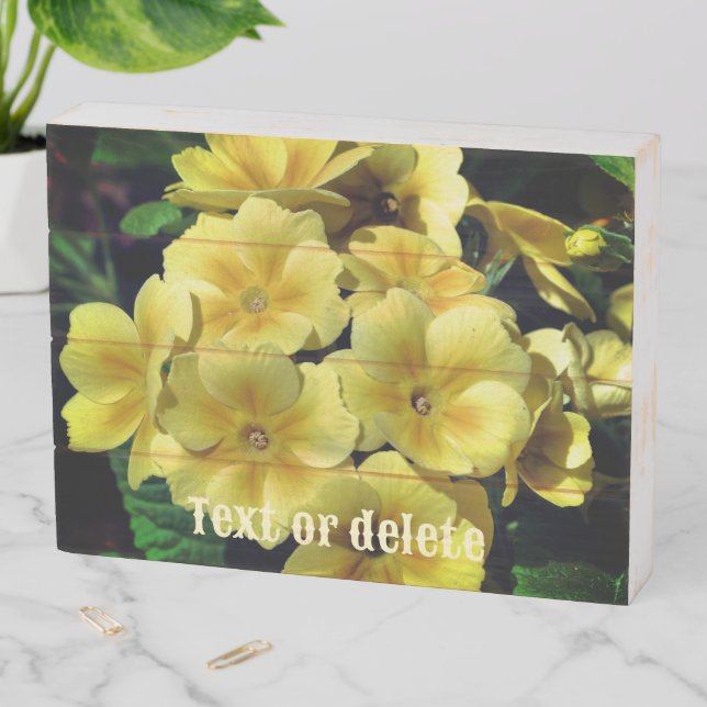 Yellow Primrose Spring Flowers Personalized Wooden Box Sign (In Situ Horizontal)