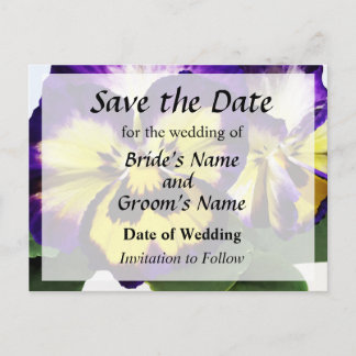 Yellow Purple and White Pansies Save Date Announcement Postcard