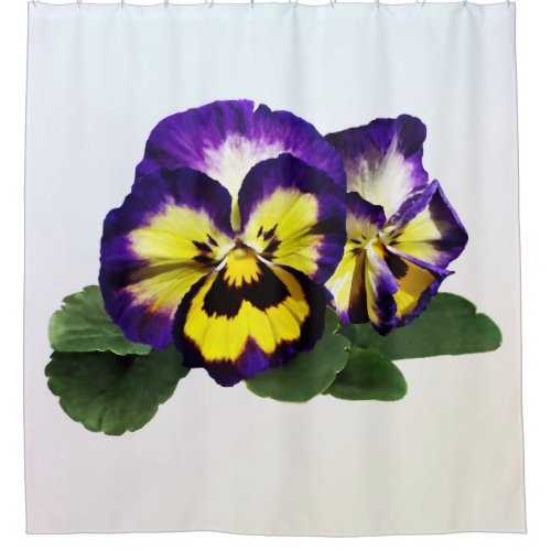 Yellow Purple and White Pansies Shower Curtain