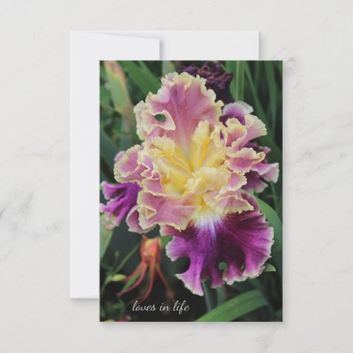 Yellow  Purple Iris Note Card