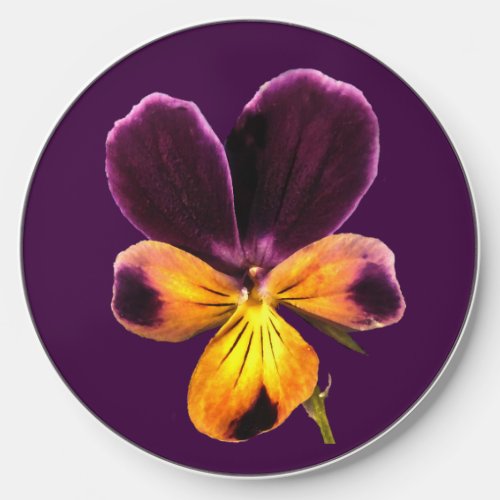 Yellow Purple Johnny Jump Up Wireless Charger