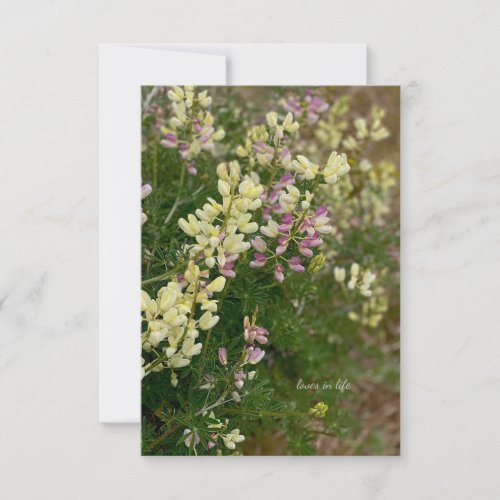 Yellow  Purple Lupines Note Card