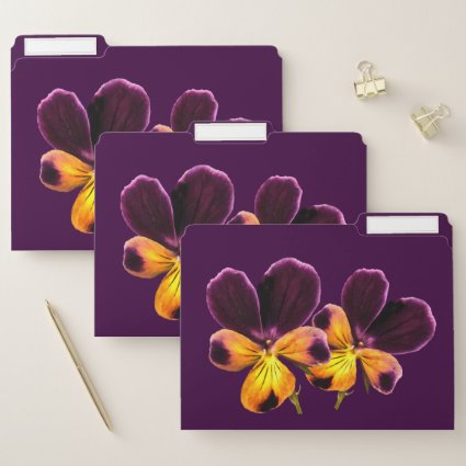 Yellow Purple Pansy  Flowers File Folder Set