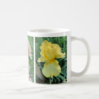 Yellow Purple Pink Iris Elegant Photo Mug