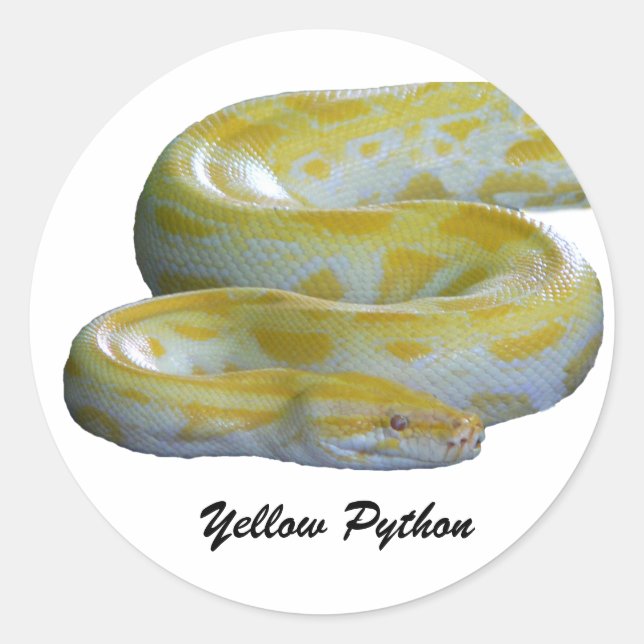 Yellow Python Stickers (Front)