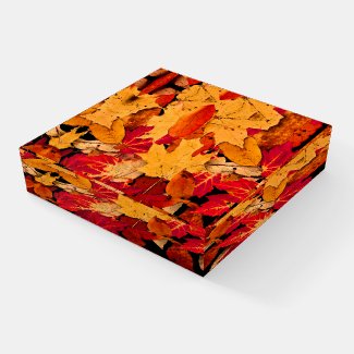 Yellow Red Autumn Leaves Glass Paperweight