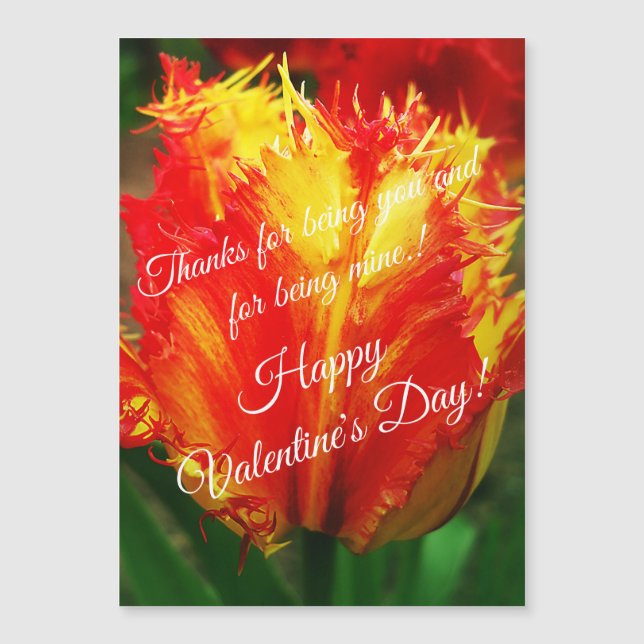 Yellow Red Curly Tulip Happy Valentine's Day (Front)
