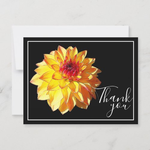 Yellow Red Dahlia With Black Background Thank You Postcard